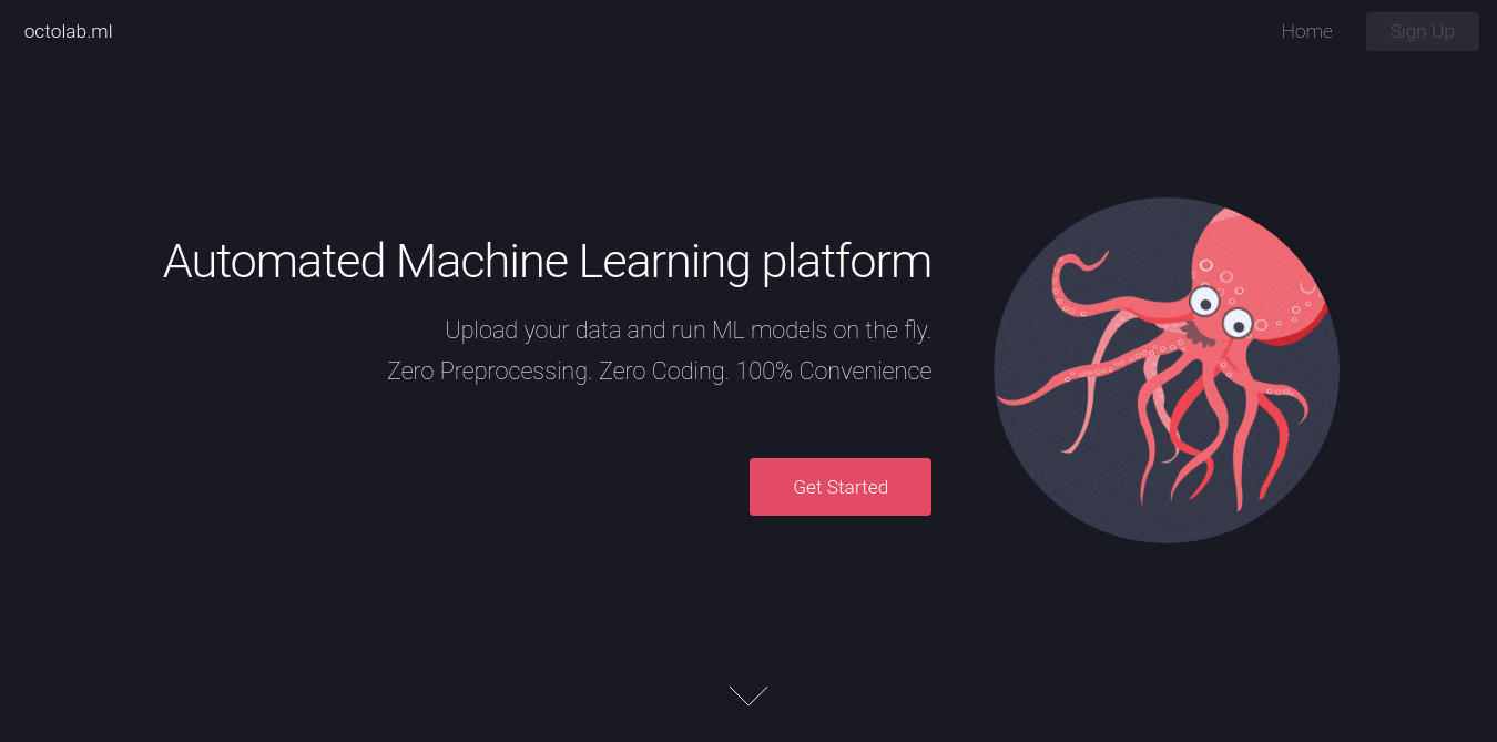 Octolab Landing Page